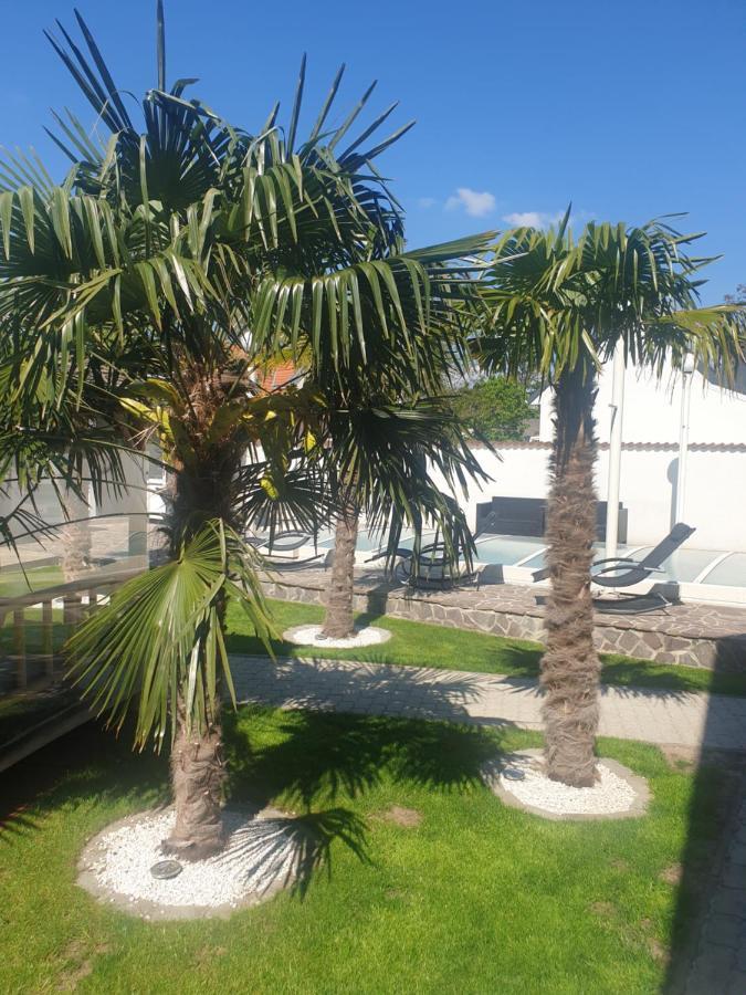 Ferienhaus Apetlon Bagian luar foto
