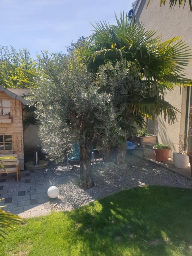 Ferienhaus Apetlon Bagian luar foto